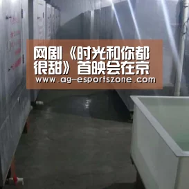 网剧《时光和你都很甜》首映会在京举行【AG电竞】(图1) AG官网