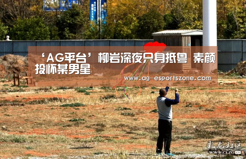 ‘AG平台’柳岩深夜只身抵粤 素颜投怀某男星(图2) AG平台
