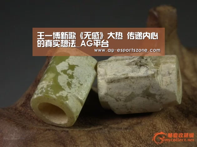 王一博新歌《无感》大热 传递内心的真实想法_AG平台(图2) AG入口