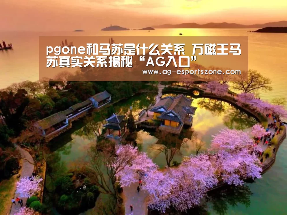 pgone和马苏是什么关系 万磁王马苏真实关系揭秘“AG入口”(图2) AG入口