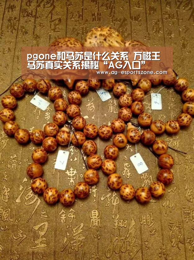 pgone和马苏是什么关系 万磁王马苏真实关系揭秘“AG入口”(图3) AG电竞