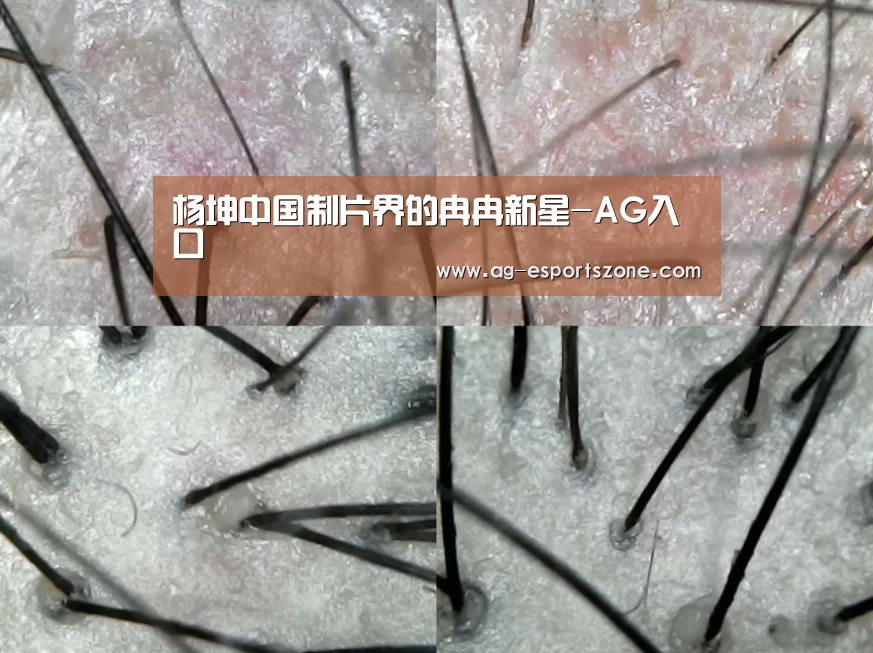 杨坤中国制片界的冉冉新星-AG入口(图1) AG官网