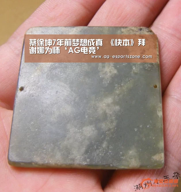 蔡徐坤7年前梦想成真 《快本》拜谢娜为师‘AG电竞’(图3) AG平台